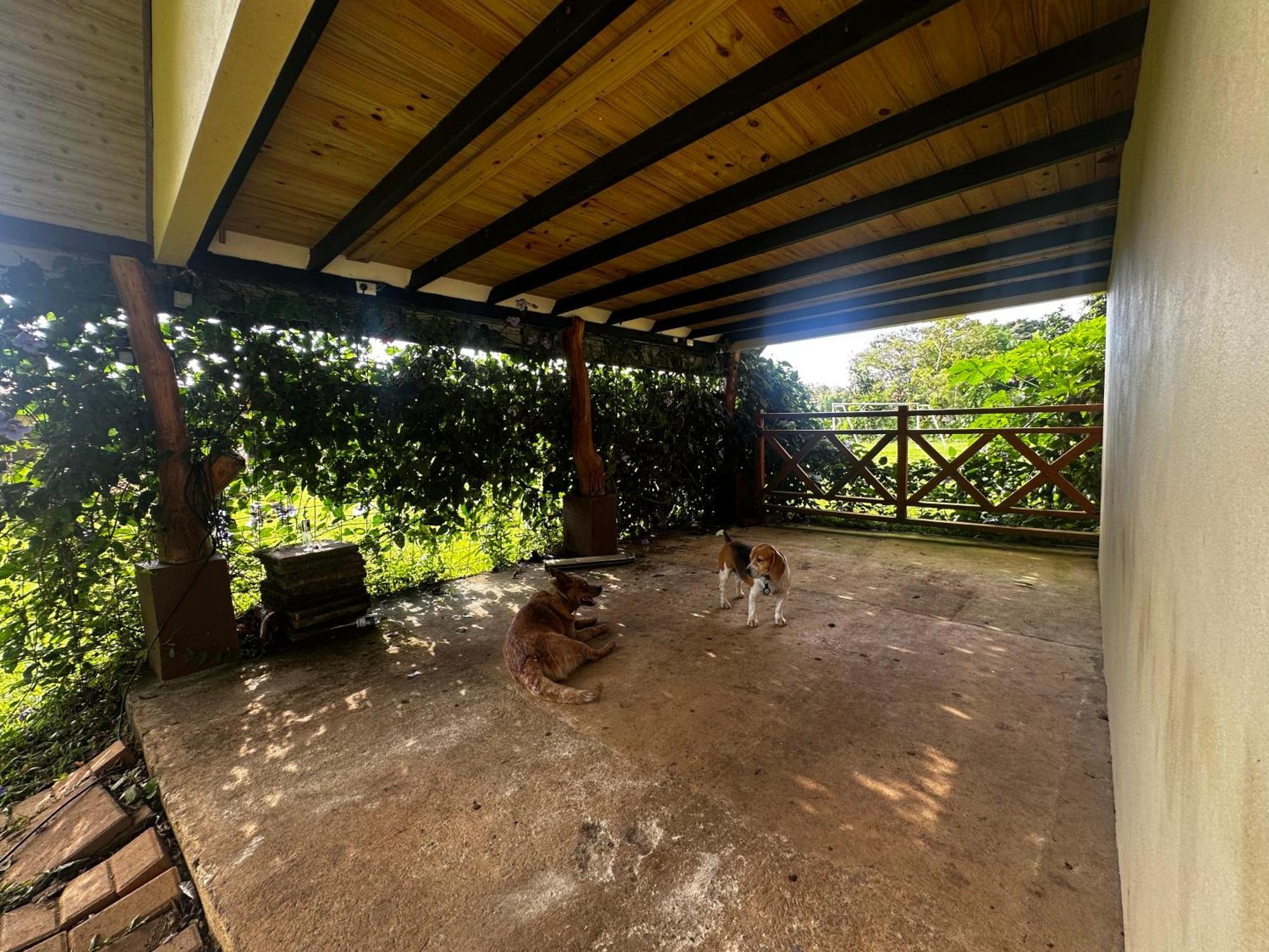 Апартаменты Modern Loft Inside A Beautiful Farm General Viejo Экстерьер фото